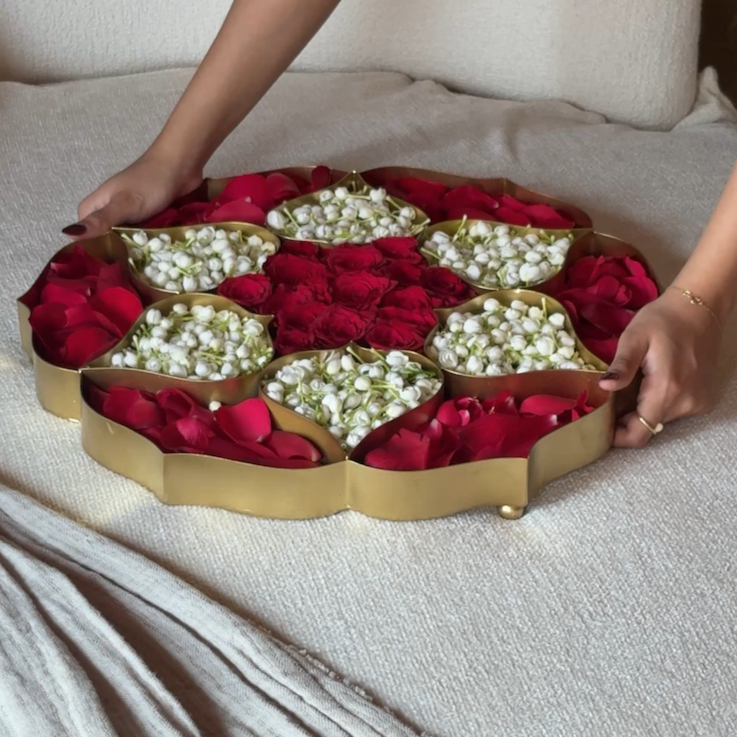 WATERLILY COMPARTMENT URLI