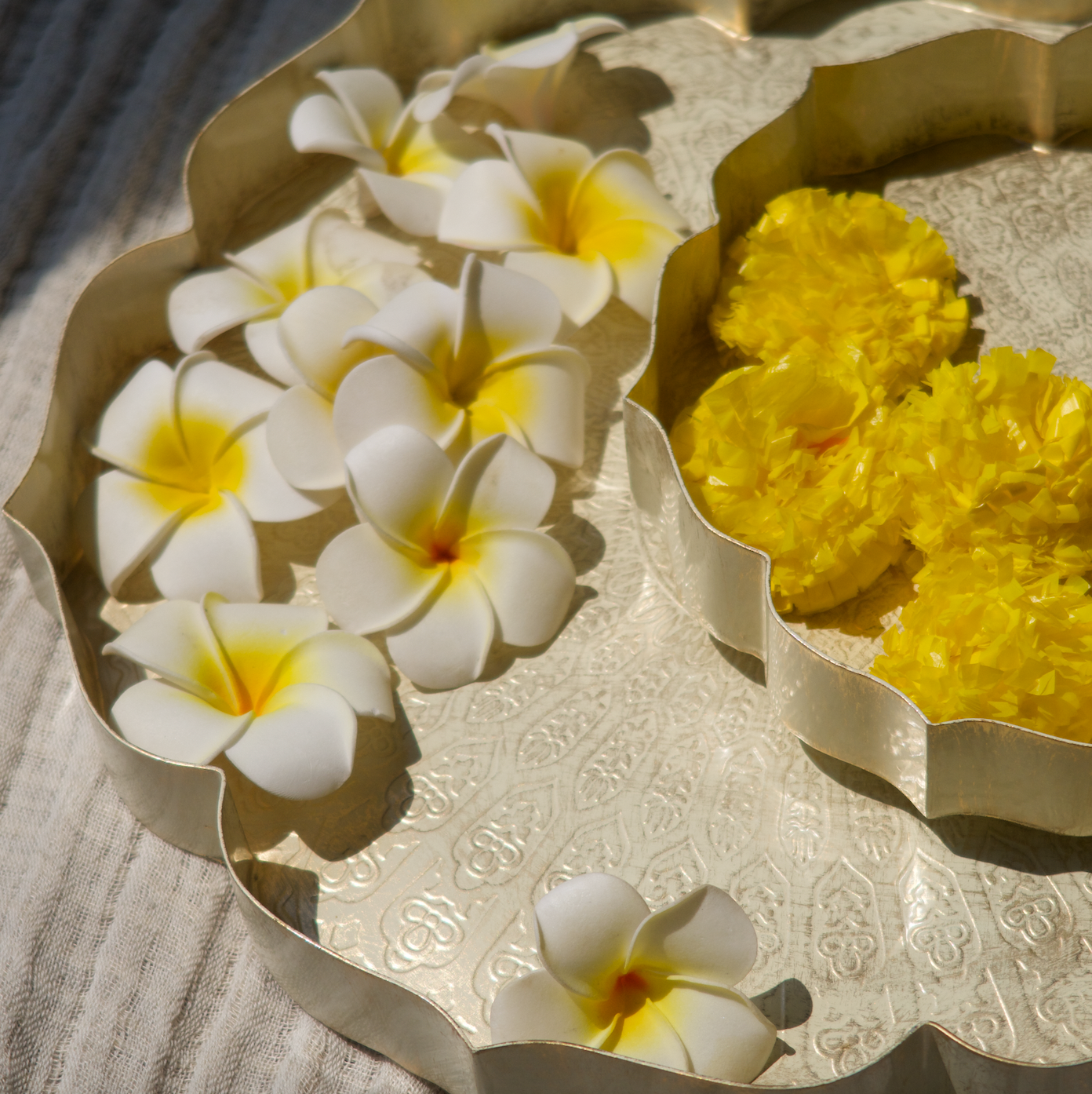 LOTUS URLI SET