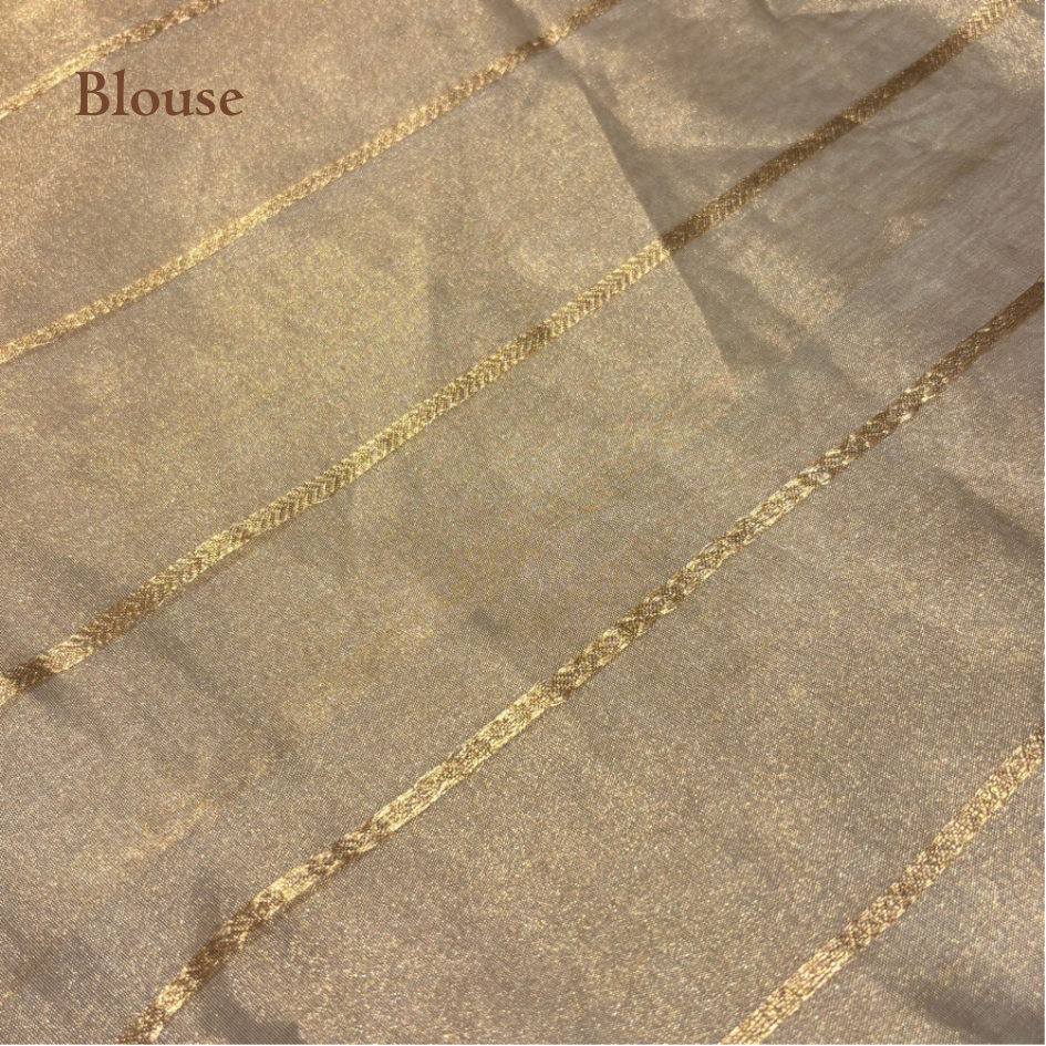 SITARA PURE TISSUE-SILK SAREE