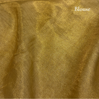 LIQUID GOLD LINEN-TISSUE SAREE