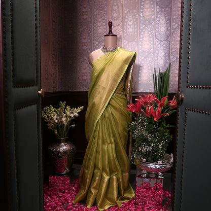 RAW MANGO LINEN-TISSUE SAREE