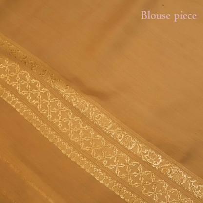 SOFT-BEIGE BANARASI PURE MOONGA SILK SAREE
