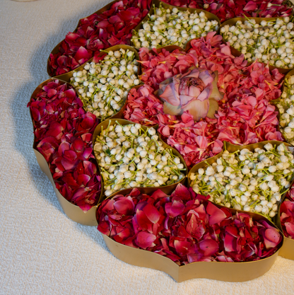 WATERLILY COMPARTMENT URLI