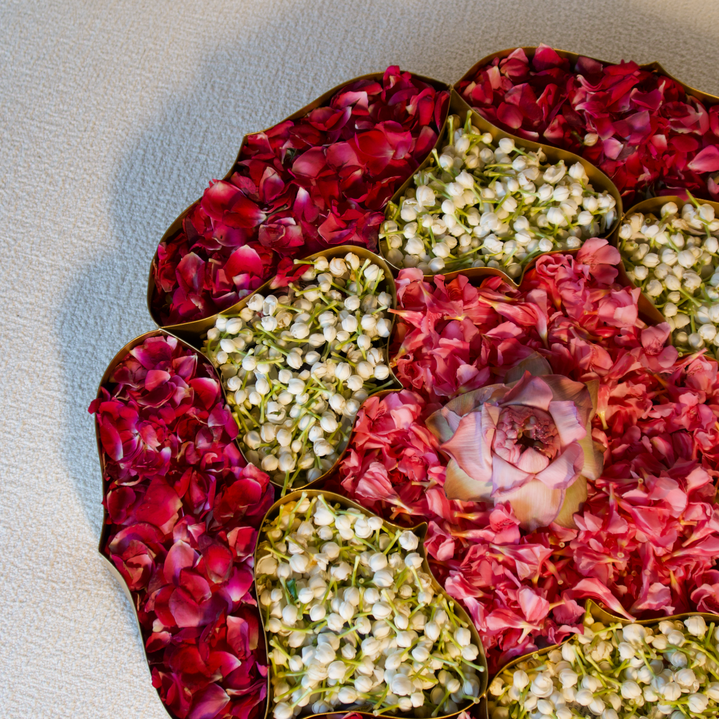 WATERLILY COMPARTMENT URLI