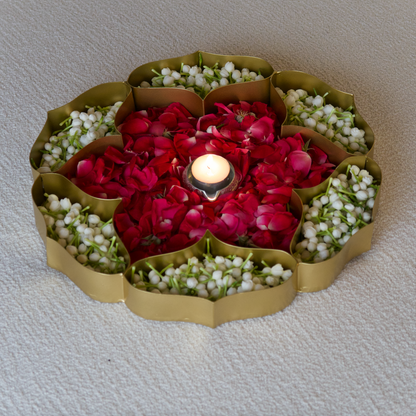 WATERLILY COMPARTMENT URLI