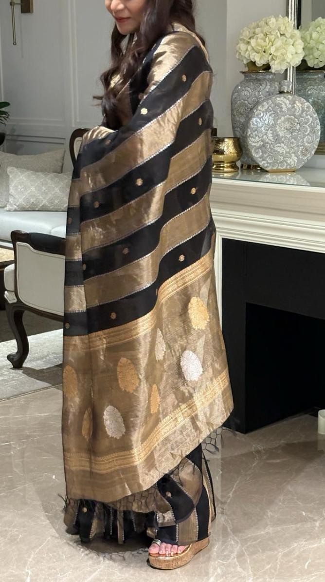 SITARA PURE TISSUE-SILK SAREE