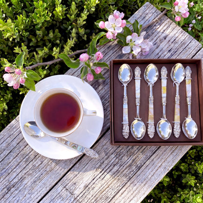 MOTHER OF PEARL DESSERT/COFFEE SPOONS (SET OF 6)